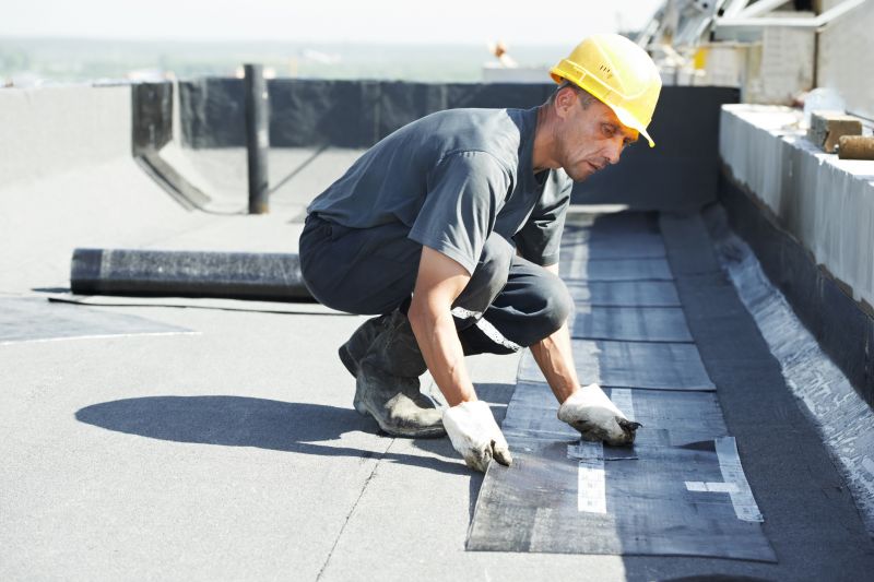 Tpo Roof Coating Service detail